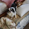 mindy_waterman